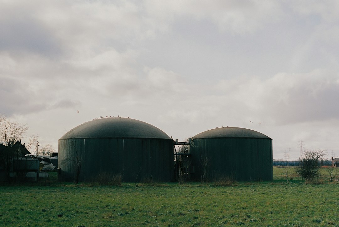 Pentax Spotmatic SP — SMC Takumar 55mm f1.8 — Kodak Portra 400